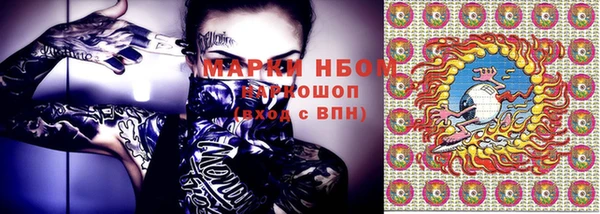 хмурый Горно-Алтайск