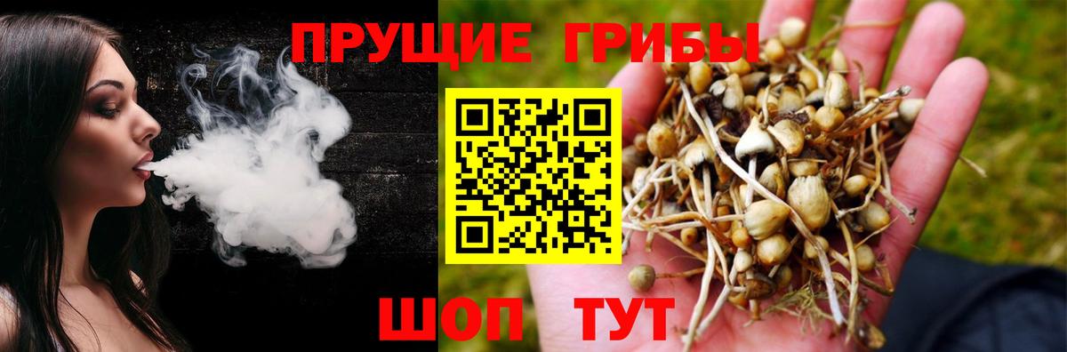 дарнет шоп  Моршанск  Галлюциногенные грибы MAGIC MUSHROOMS 