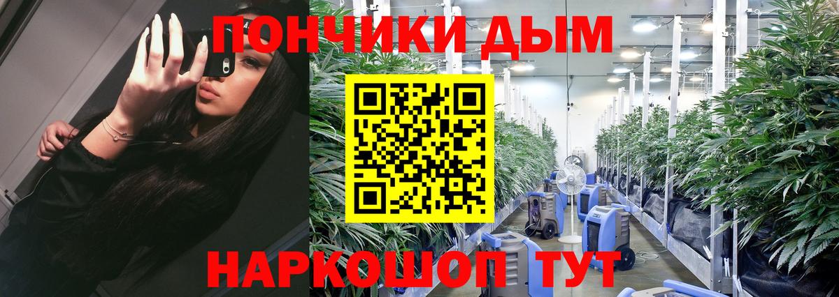Бошки Шишки SATIVA & INDICA  Моршанск  Каннабис White Widow  Канабис сатива 